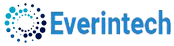 Everintech Logo